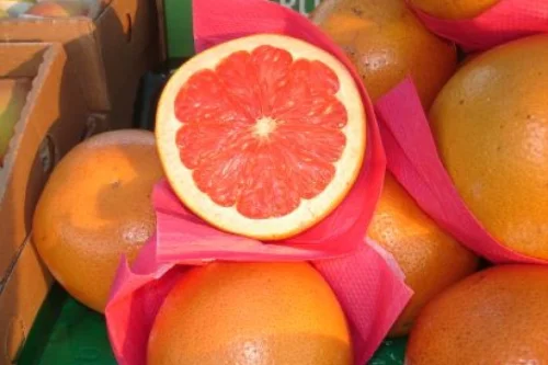 Saiba qual a fruta que ajuda a queimar gordura até dormindo, segundo especialistas