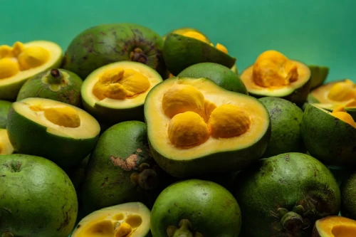 Pequi: o superalimento do Cerrado que surpreende cientistas e pode proteger rins, coração e fígado