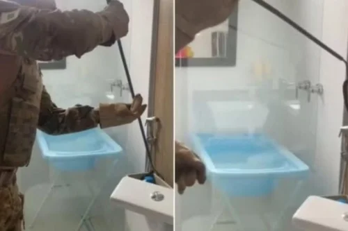 VÍDEO: Família leva baita susto ao se deparar com jararaca dentro do vaso sanitário; Confira