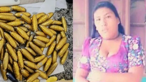 Passageira morre após ingerir 78 cápsulas de cocaína em ônibus; laudo aponta ruptura