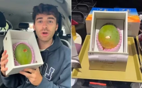 Influenciador paga R$ 1,1 mil em UMA única "manga de luxo" e viraliza: “Melhor da vida!”