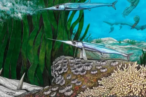 Cientistas brasileiros descobrem fóssil de nova espécie de peixe pré-histórico na Antártica