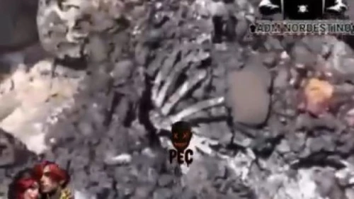 VÍDEO: Três corpos carbonizados são encontrados em caminhonete em área rural