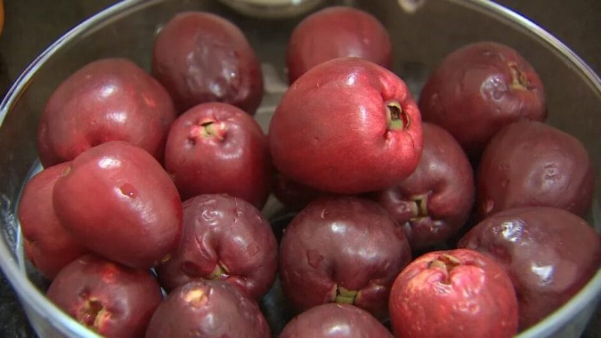 Conheça a fruta com ação preventiva contra infarto e proteção aos vasos sanguíneos