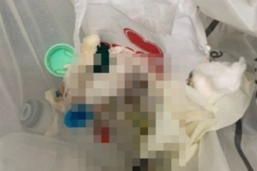 Jovem de 20 anos morre após tentativa de aborto clandestino em quarto de motel