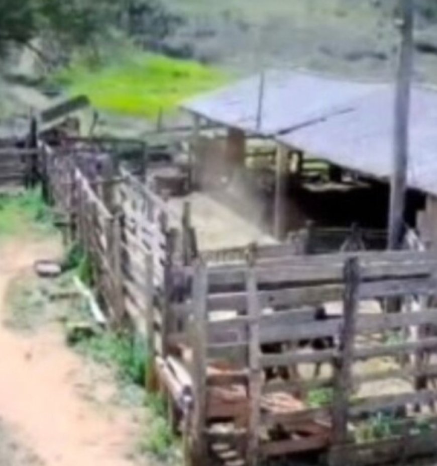 VÍDEO: Família registra queda de objeto misterioso e suspeita de meteorito