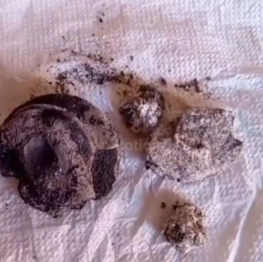 VÍDEO: Família registra queda de objeto misterioso e suspeita de meteorito
