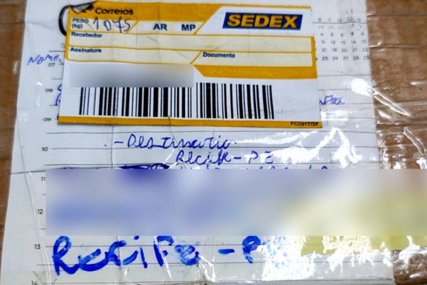 Homem é preso após receber drogas pelo Correios