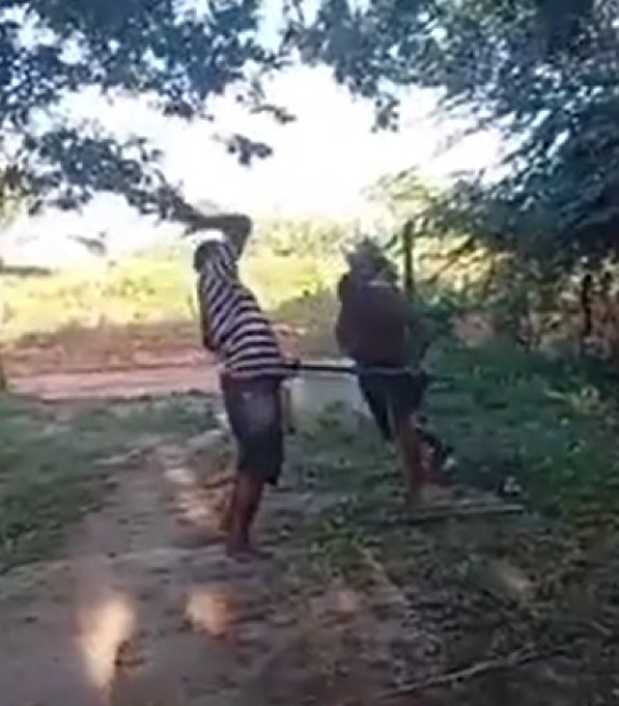 VÍDEO - SE DEU MAL:  ladrão apanha com vara de bambu após ser pego roubando