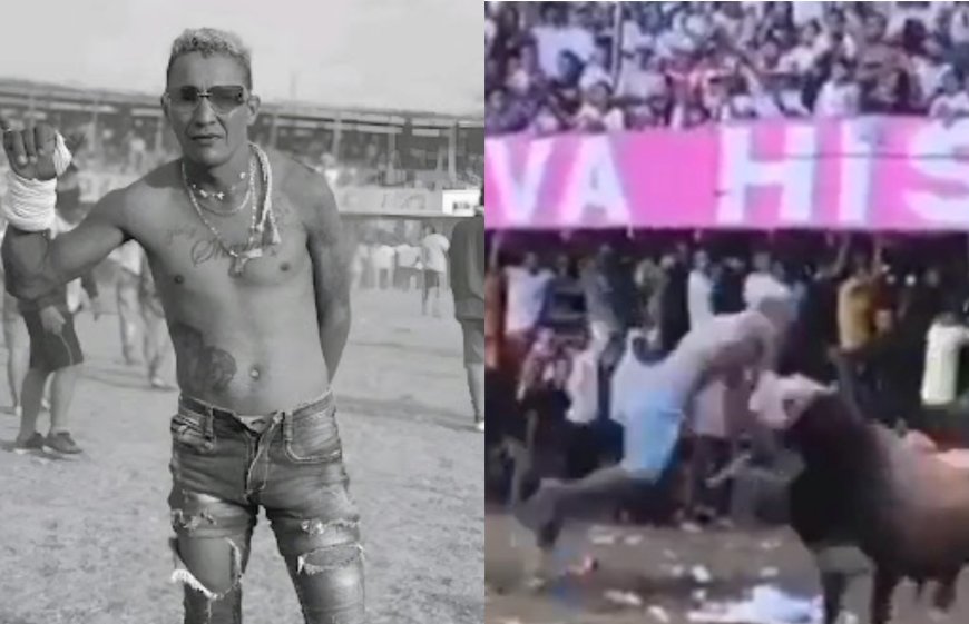 VÍDEO: Homem morre após levar chifrada de touro no pescoço em corraleja; Assista