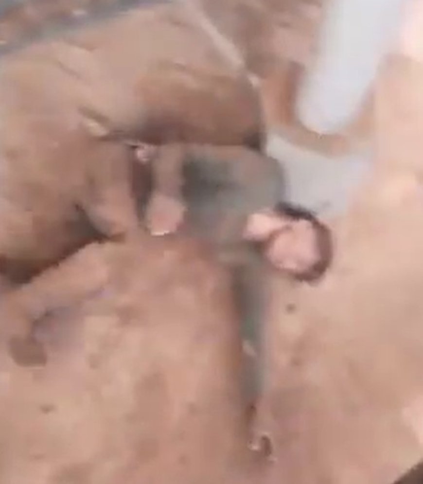 VÍDEO: Jovem é atingido por raio durante tempestade; incidente deixa feridos e um animal morto
