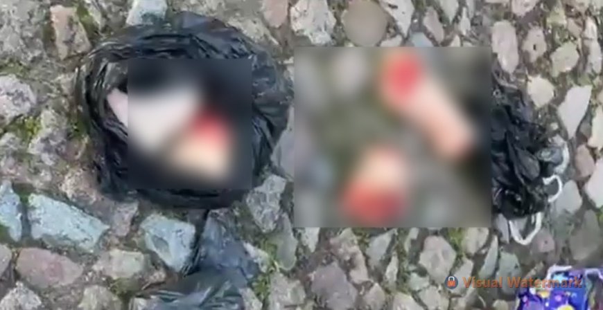 VÍDEO: Restos mortais de mulher são encontrados dentro de sacola; Imagens Fortes