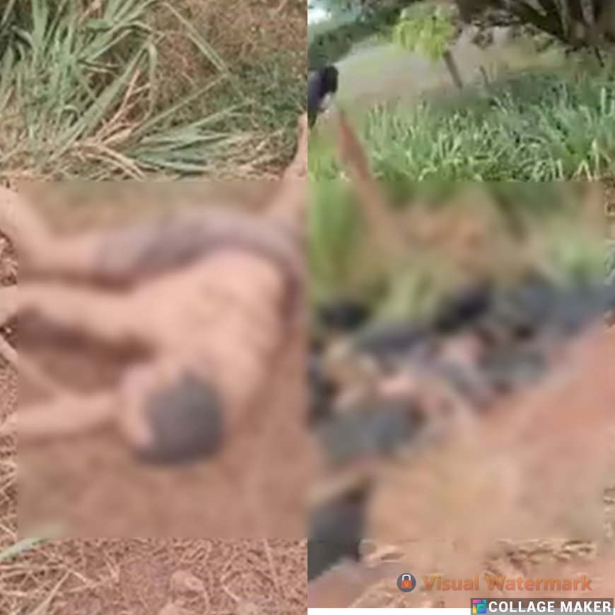 VÍDEO: Corpo de homem desconhecido é encontrado por causa de urubus devorando-o; investigação aponta violência
