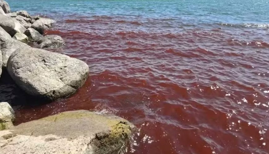 APOCALIPSE? Mar da Galileia fica com a cor vermelha; Entenda o motivo