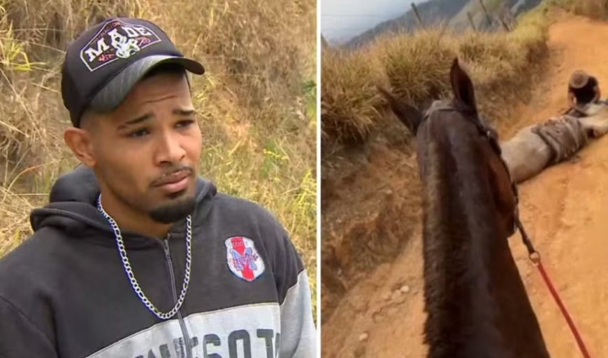 VÍDEO: ‘Não sou um monstro’, diz jovem que confessou decepar patas de cavalo; Confira entrevista por ele