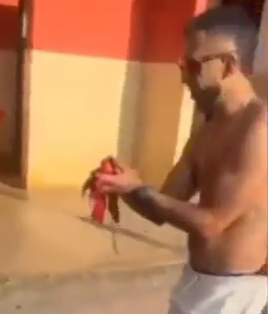 VÍDEO: Torcedor perde a mão após explosão de rojão; Imagens Fortes