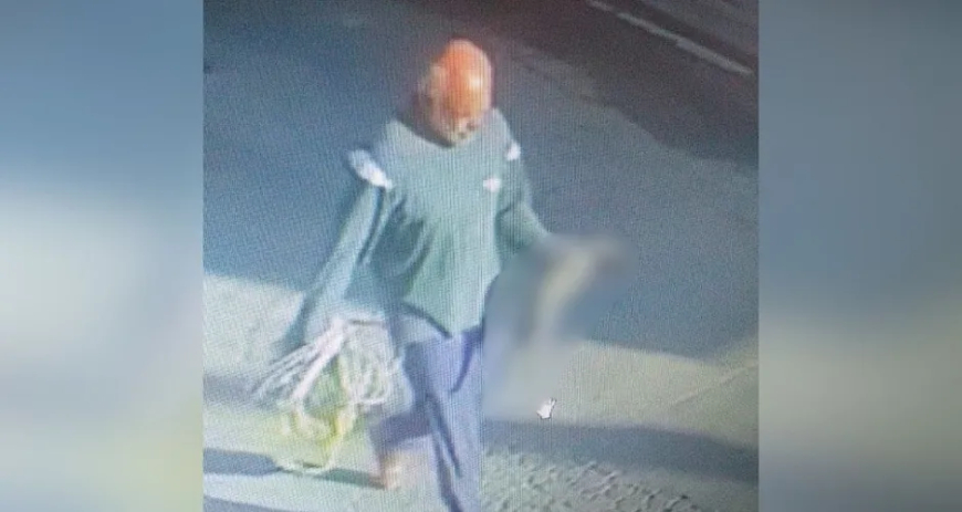 Serial killer de gatos é preso após ameaçar crianças com animais mortos