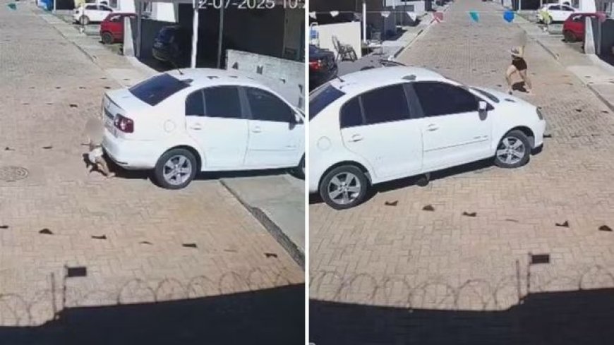 VÍDEO: Menino de 2 anos é atropelado por vizinha ao brincar com bola em condomínio; vídeo mostra momento do acidente