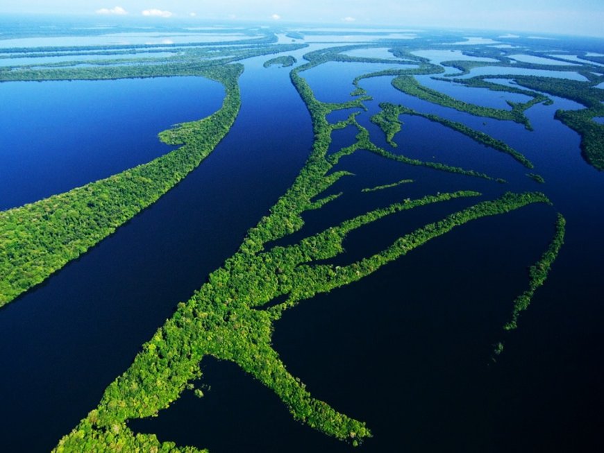 Curiosidade: Você sabe qual o maior rio do Brasil e o maior do mundo em volume de água? Descubra