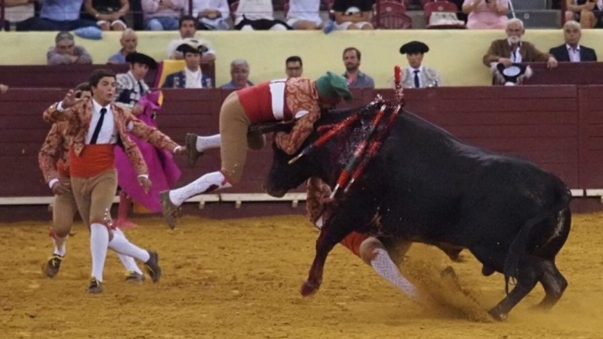 VÍDEO: Toureiro de 22 anos morre após ser chifrado em corrida, espectador sofre infarto e também falece ao ver cena impactante