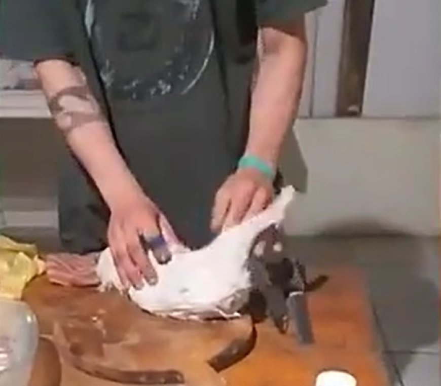 VÍDEO: INACREDITÁVEL! Homem é preso após matar e comer carne de cães e gatos de rua; Veja o momento em ele fazia o preparo
