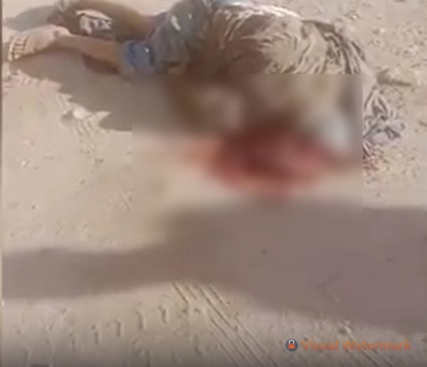 VÍDEO: homem com deficiência mental morre após dormir debaixo de carreta; Imagens Fortes