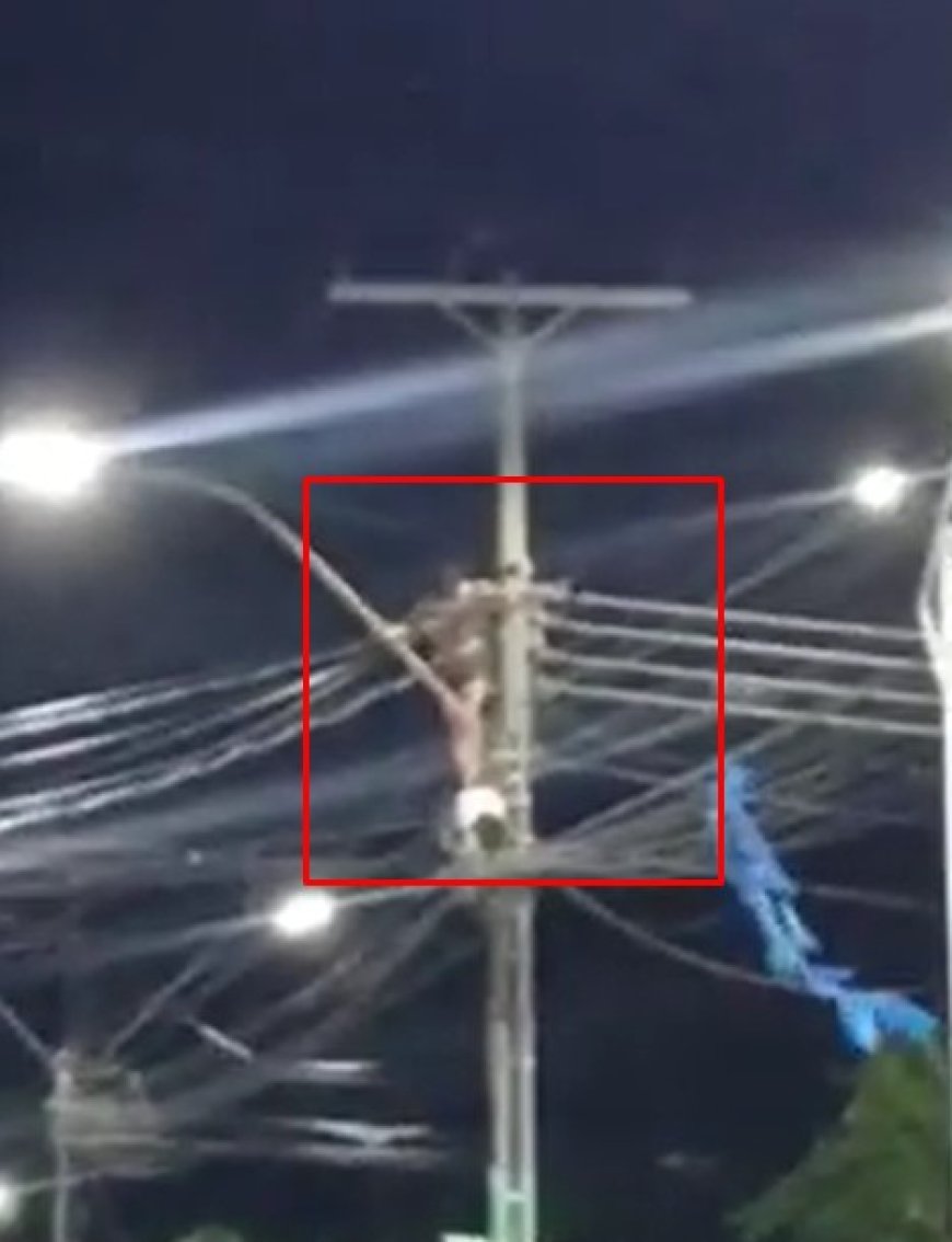 VÍDEO: Homem em surto sobe em poste e leva choque de alta tensão; Veja o momento do ocorrido