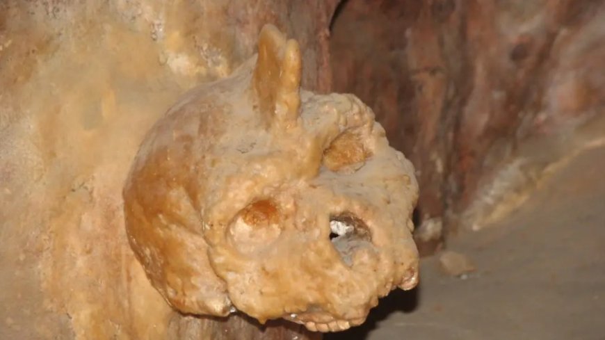 Crânio de 300 mil anos encontrado na Grécia desafia ciência e pode revelar nova espécie humana