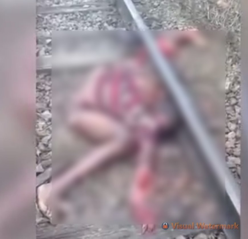 VÍDEO: Homem é brutalmente assassinado e corpo deixado sobre trilhos de trem; Imagens Fortes