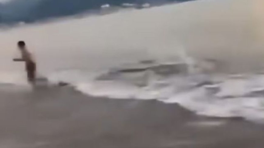 VÍDEO: Turista escapa por segundos de ataque de crocodilo em praia; veja o momento do ataque