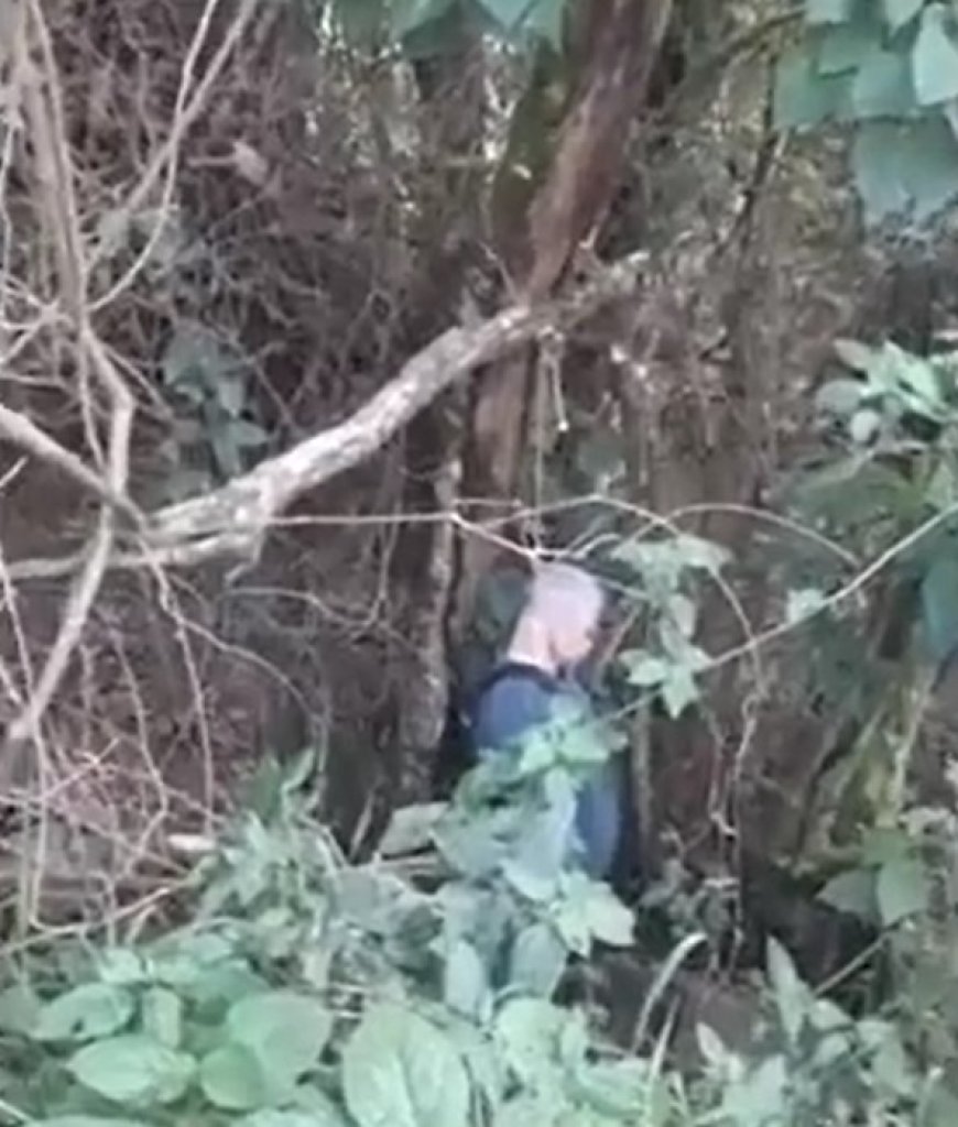 VÍDEO: Homem vai fazer necessidades no mato e acaba encontrando corpo enforc*do