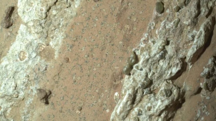 Descoberta histórica: Nasa encontra sinais que podem indicar vida antiga em Marte