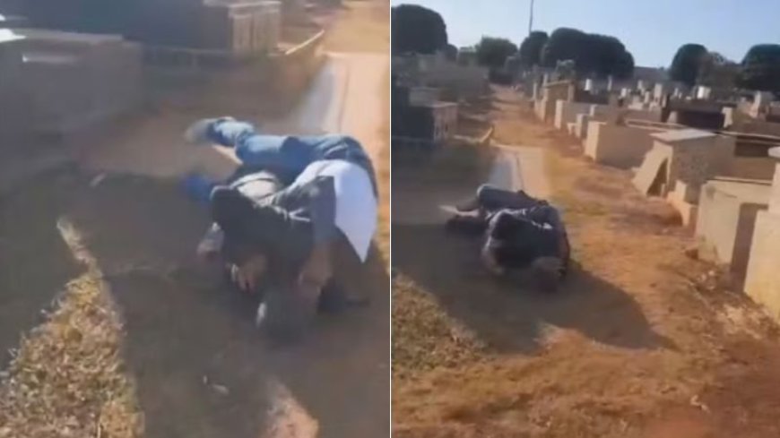VÍDEO: Advogado e coveiro ‘enterram’ as diferenças no soco dentro do cemitério; Confira